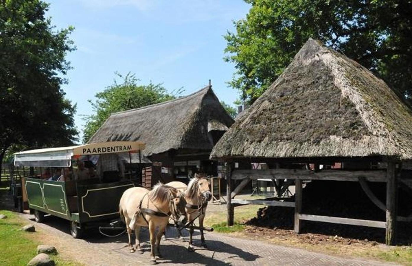 Vakantiewoning De Oeverzwaluw In Hartje Drenthe, Met Airco! Zwiggelte Buitenkant foto